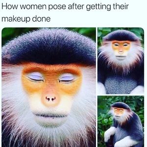 Meet your Posher, Ariana